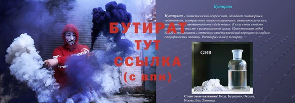 сатива Аркадак