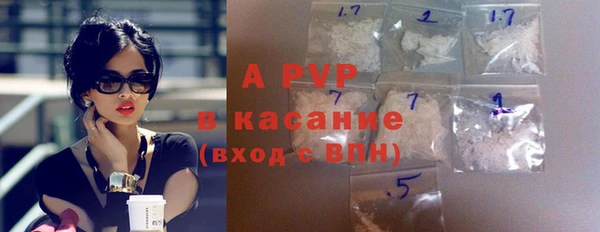 сатива Аркадак
