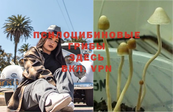 не бодяженный Армянск