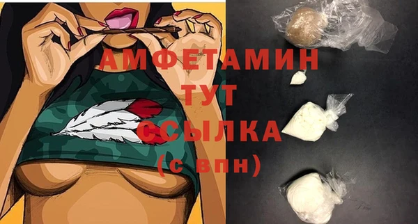сатива Аркадак