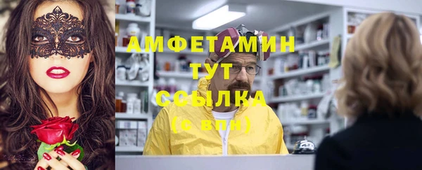 сатива Аркадак