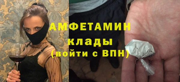 сатива Аркадак