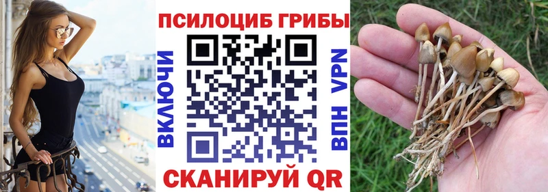 Псилоцибиновые грибы MAGIC MUSHROOMS  Таштагол 