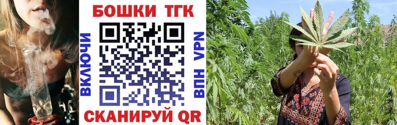 наркотики  Таштагол  Конопля сатива 